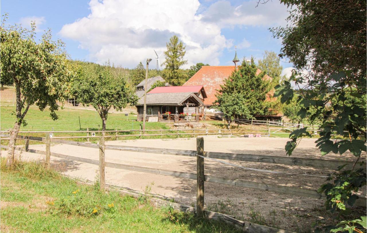 Chalet Bestaenderhof Schonach im Schwarzwald Dış mekan fotoğraf